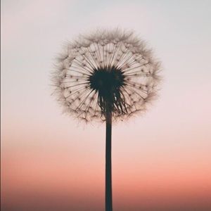 Meet your Posher, Zaynab